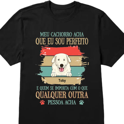 new-t