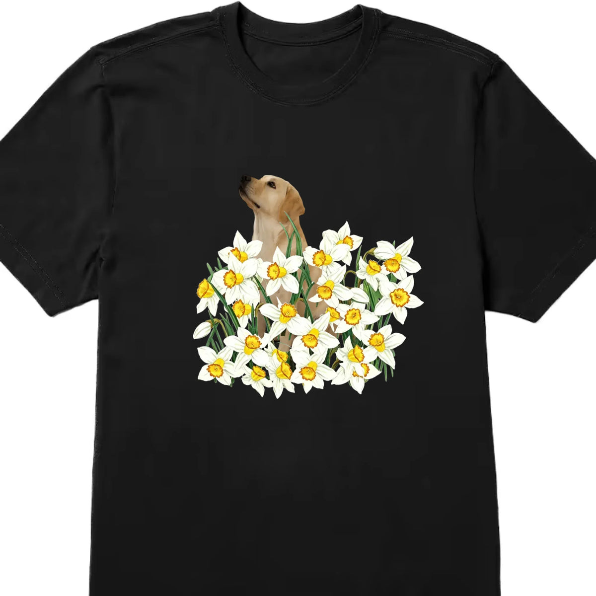 new-t